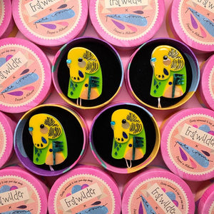 Erstwilder The Beautiful Budgerigar BH6959-6040