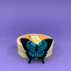 Blue Emperor Brooch