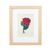 Budding Romance Rose Embroidery Pattern