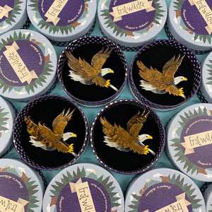 Erstwilder Comeback Kid Eagle Brooch BH7087-9080