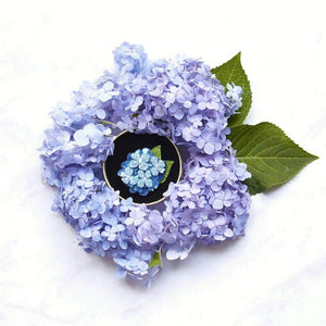 Erstwilder Heartfelt Hydrangea Brooch BH6793-3040
