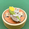 Junior & His Tulip Brooch