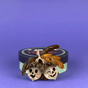 Erstwilder Acorn Afterlife Brooch BH7111-9092