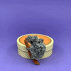Erstwilder Koolah and Guula Brooch BH6004-7371