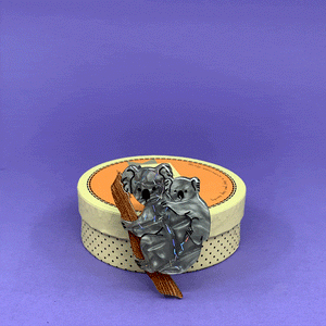 Erstwilder Koolah and Guula Brooch BH6004-7371