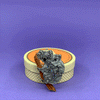 Koolah and Guula Brooch