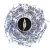 Erstwilder Lavender Daze Brooch BH6796-5040