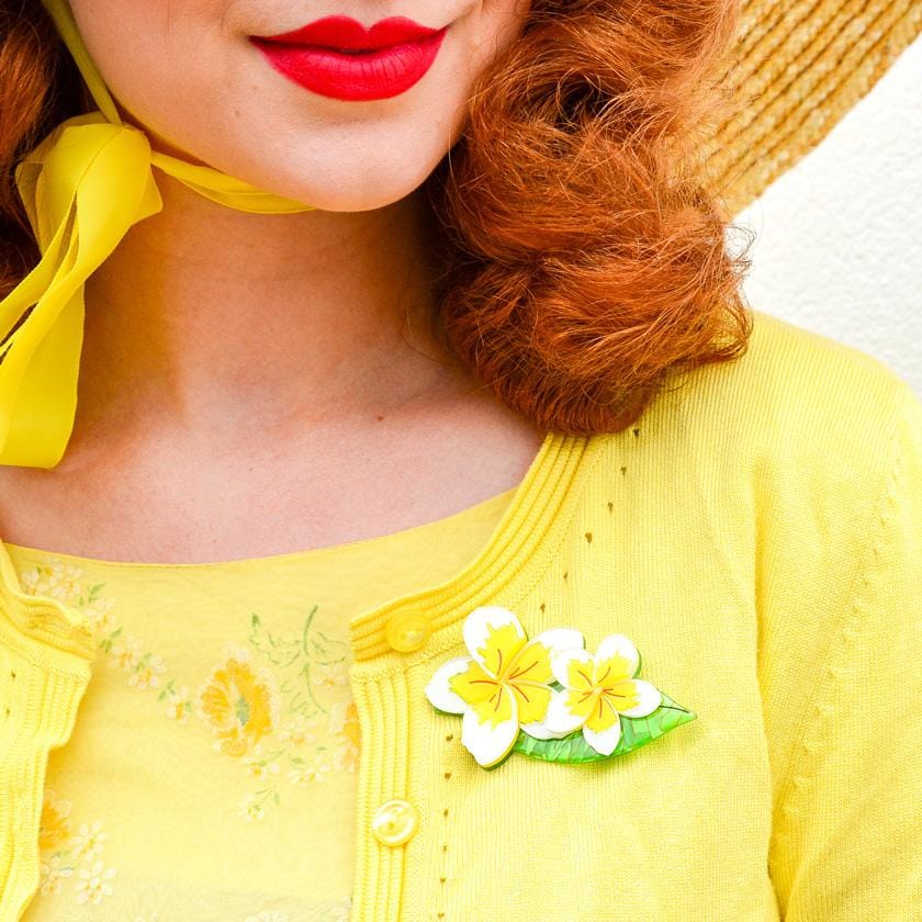 Erstwilder Lei it On Me Brooch BH6923-8060