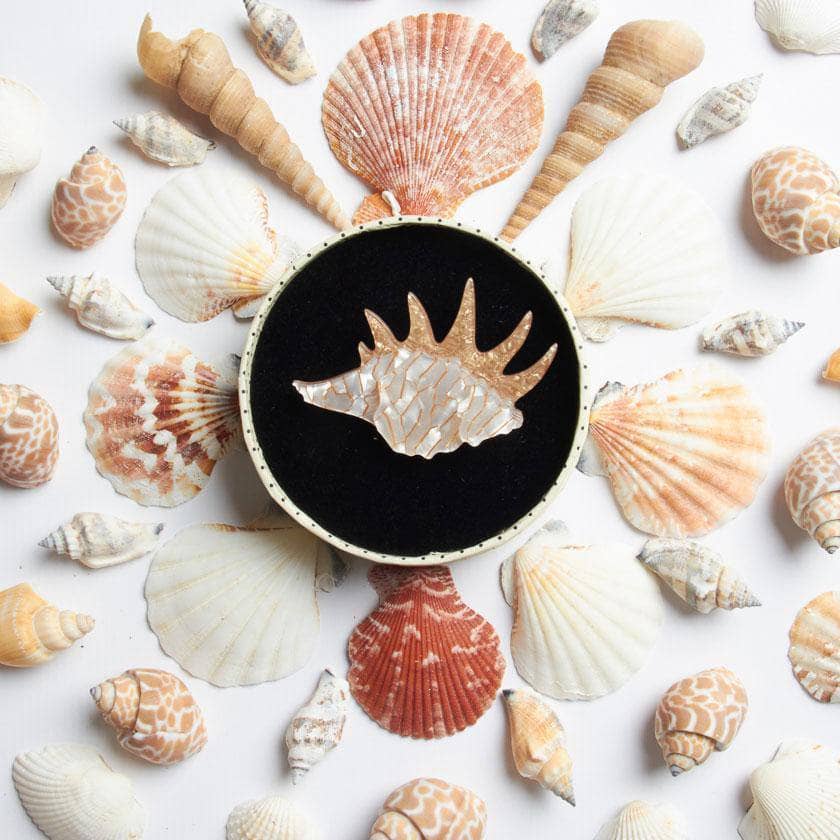 Seashell brooch deals