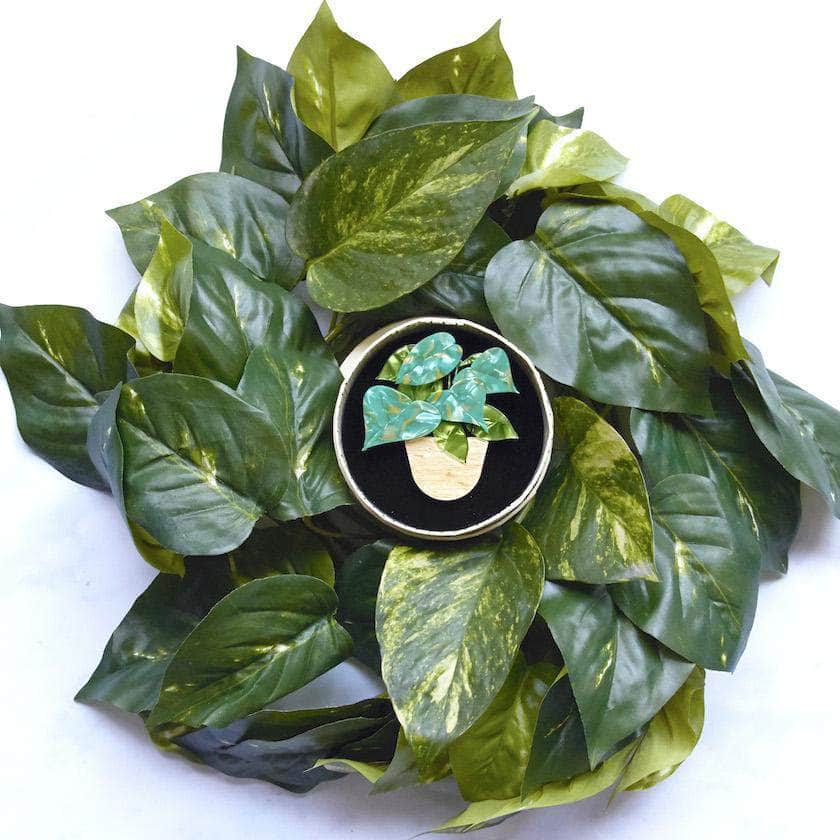 show me the money plant Show Me the Money Plant Brooch – Erstwilder