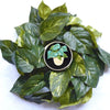 Show Me the Money Plant Brooch