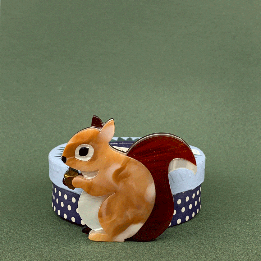 Bright-Eyed and Bushy Tailed Brooch – Erstwilder