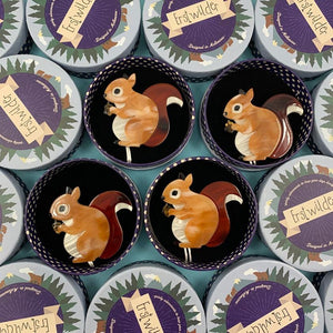 Erstwilder Bright-Eyed and Bushy Tailed Brooch BH7094-9091