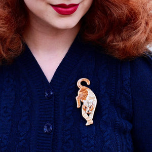 Erstwilder Puma Pride Brooch BH7084-9291