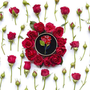 Erstwilder Budding Romance Rose Brooch BH6792-1040