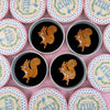 Erstwilder Squirrel Nutkin Brooch BH6781-9000