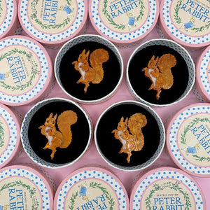 Erstwilder Squirrel Nutkin Brooch BH6781-9000