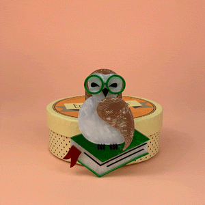 Erstwilder Studious Snow Owl Brooch BH5911-4090