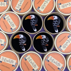 Erstwilder Terrence the Toucan Brooch BH5461-7001