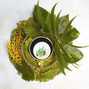 Erstwilder Botanical Abode Brooch BH6807-4080