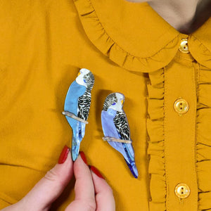 Erstwilder Pair O' Keets Brooch Set BH7264-3080