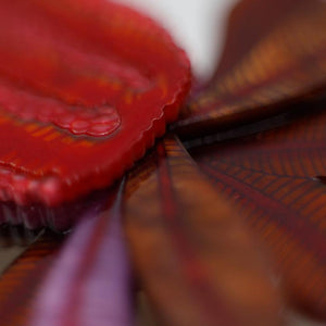 Erstwilder Flora Antipodea Necklace N7277-2090