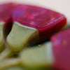 Hum of the Gum Brooch