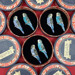 Erstwilder Pair O' Keets Brooch Set BH7264-3080