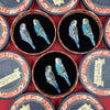 Pair O' Keets Brooch Set