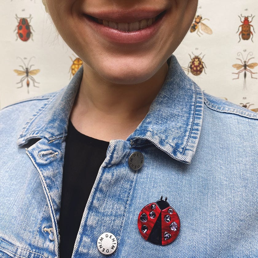 Erstwilder Lou Lou Ladybug Mini Brooch MN0021-1070