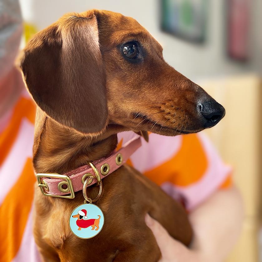 Christmas Spiffy Enamel Pet Charm Erstwilder