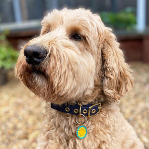 Erstwilder Sumptuous Sunflower Enamel Pet Charm PET0008-6000