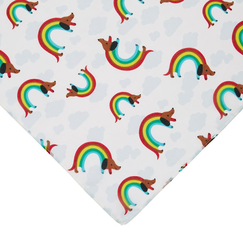 Erstwilder Rainbow Ruff Neck Scarf White AH1SN03