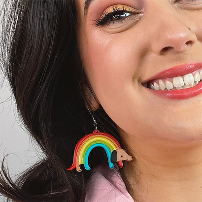 Erstwilder Rainbow Ruff Earrings AH1EG05