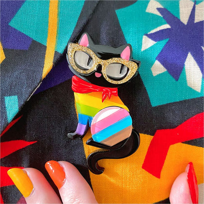 Erstwilder Pride & Joy Elissa the Rainbow Cat Brooch AD1BH09